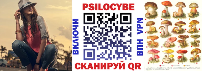 Псилоцибиновые грибы мицелий  Андреаполь 