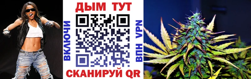 Конопля SATIVA & INDICA  где купить наркотик  Андреаполь 